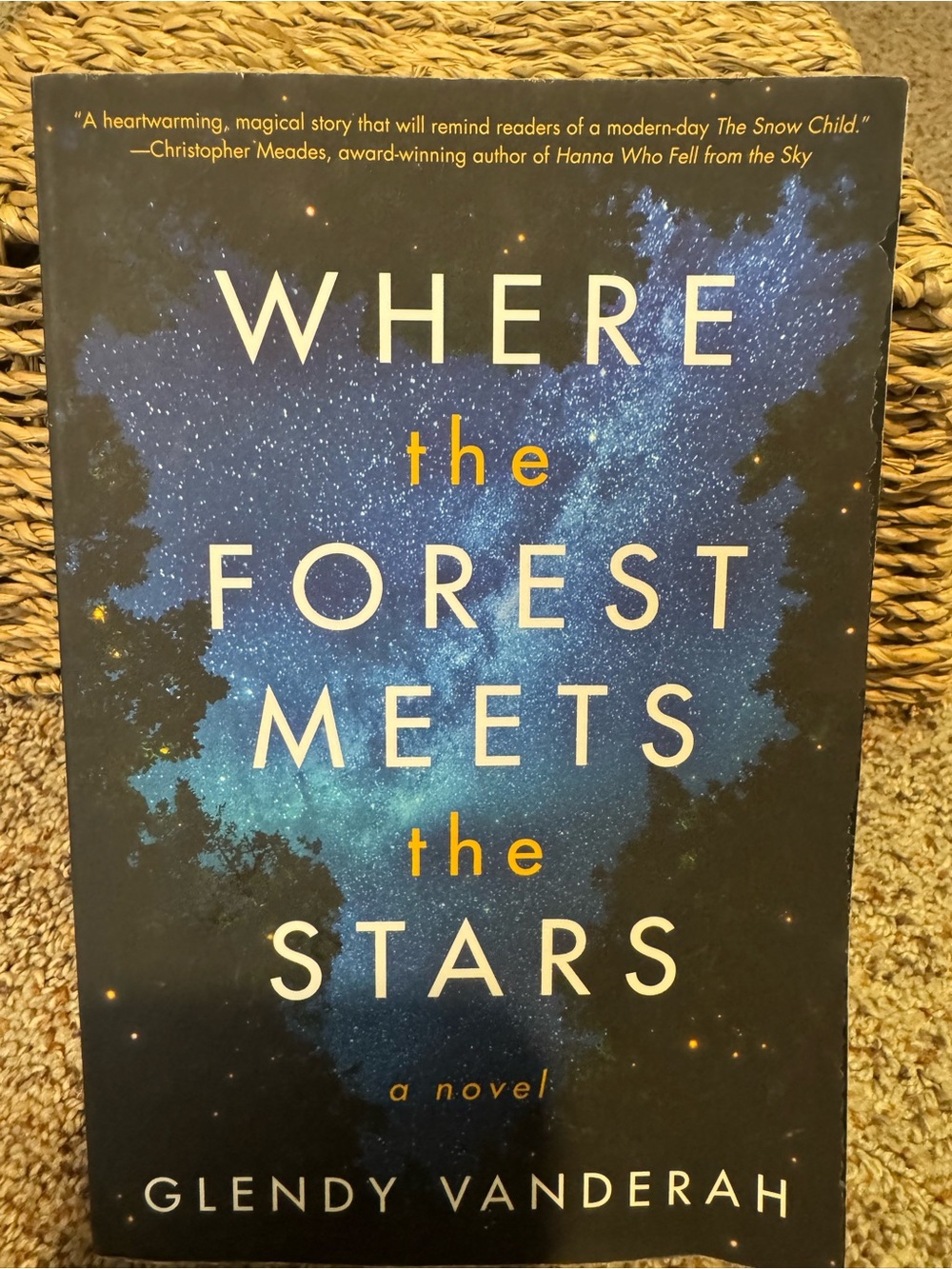 Where the Forest Meets the Stars - Blue Novel by Glenda Vanderah